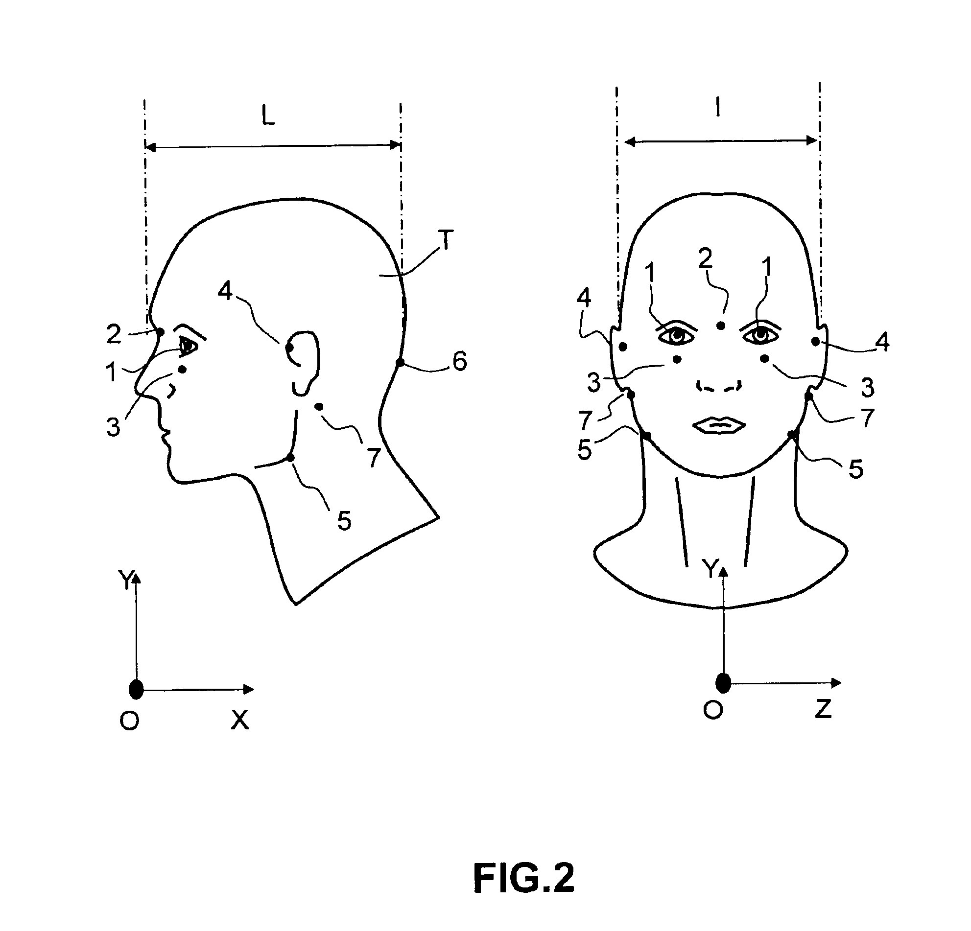 Process for determining the biomechanical compatibility of head equipment