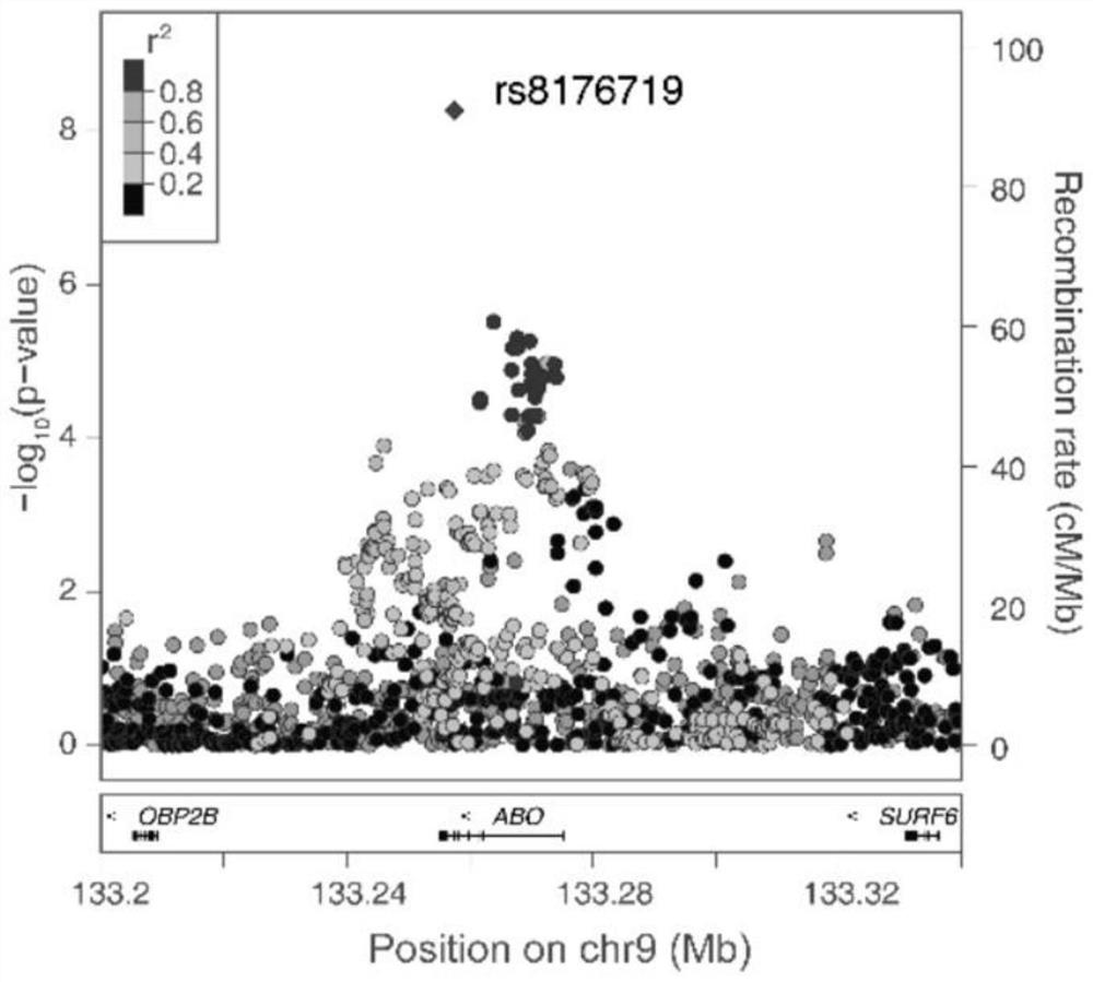 Molecular marker for detecting COVID-19 susceptibility, kit and application