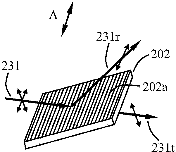 Polarized light-emitting device