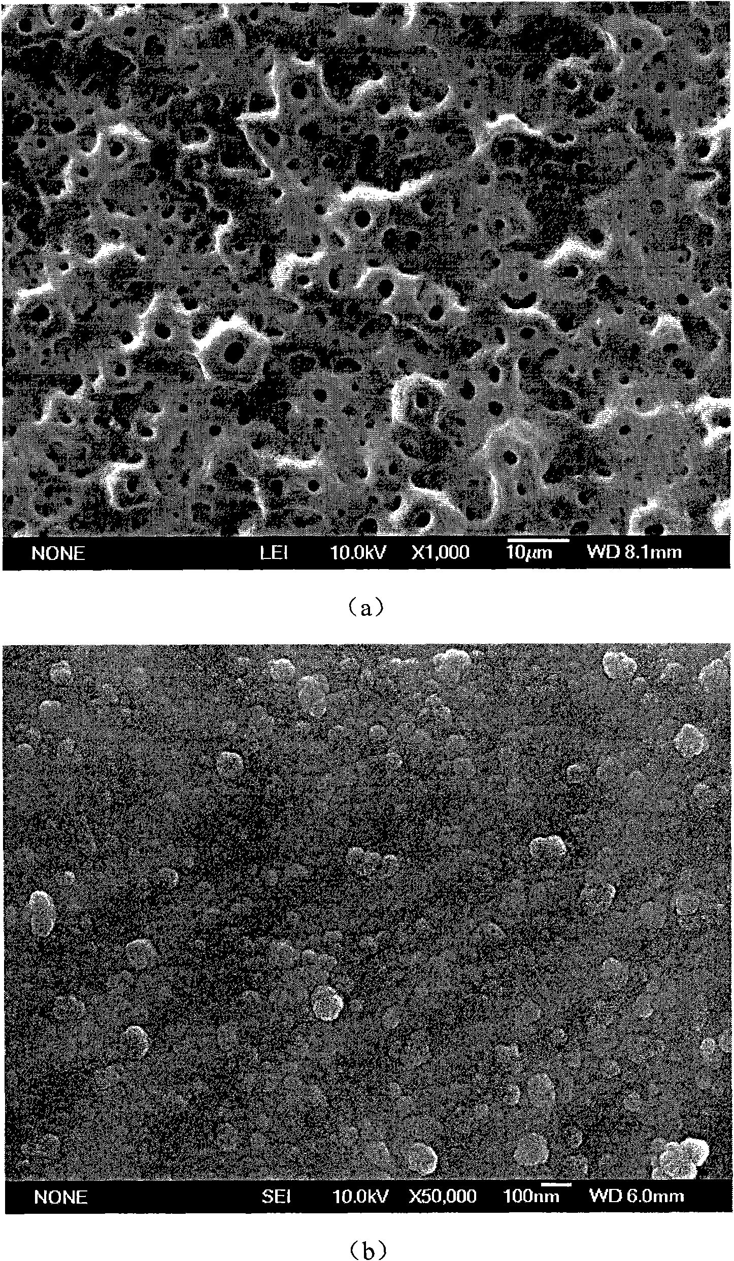 Preparation method and application of magnesium-doped porous nano titanium oxide coating