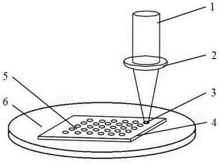 Filter screen capable of realizing efficient oil-water separation, and method for preparing filter screen by femtosecond laser