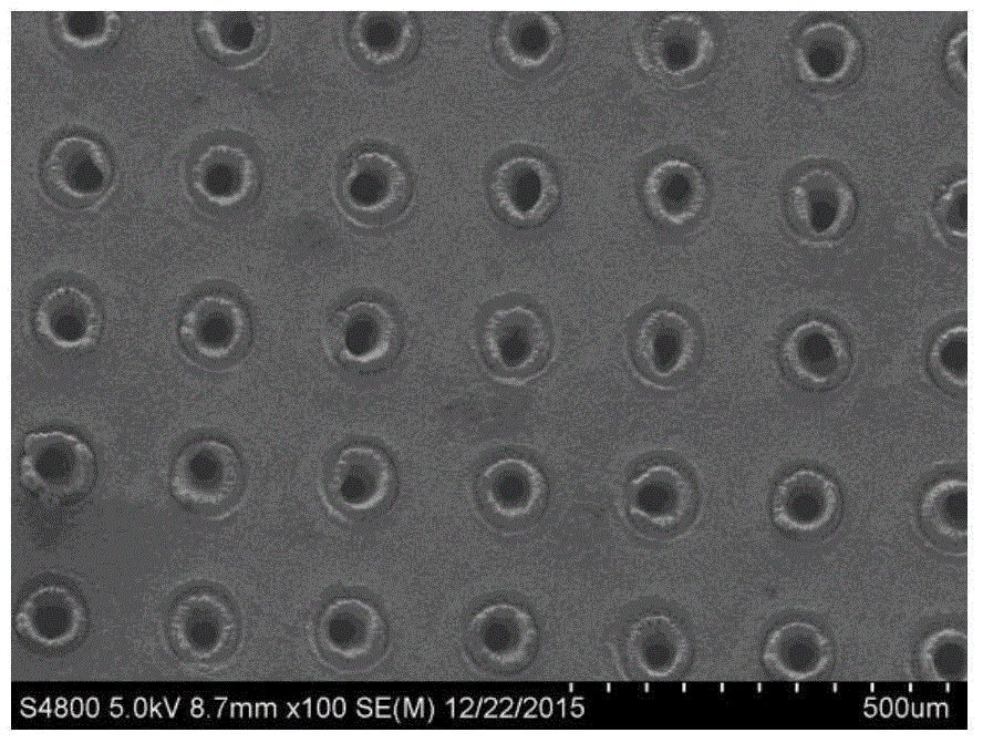 Filter screen capable of realizing efficient oil-water separation, and method for preparing filter screen by femtosecond laser