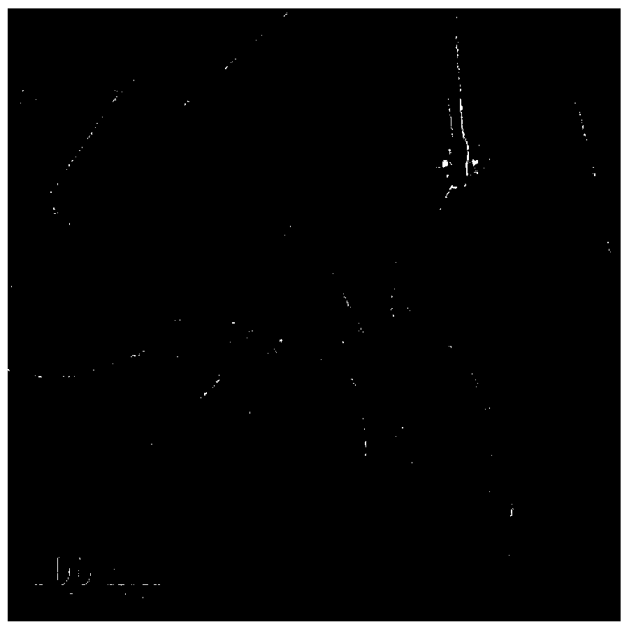 Method for large-scale preparation of graphene and two-dimensional boron nitride crystal materials