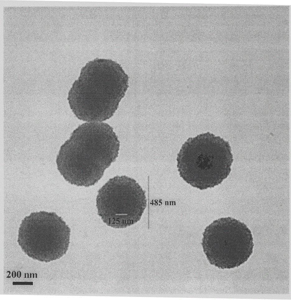 YIGSR-modified beta-carboline, preparation, nano-structure, activity and application thereof