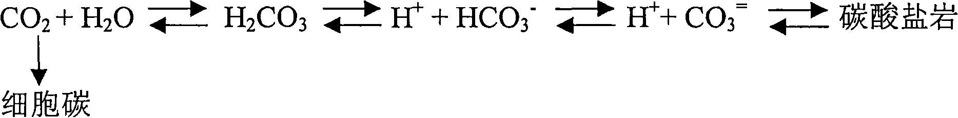 Method and preventing and reducing hydrogen sulfide of aqueous system and promoting oil recovery factor