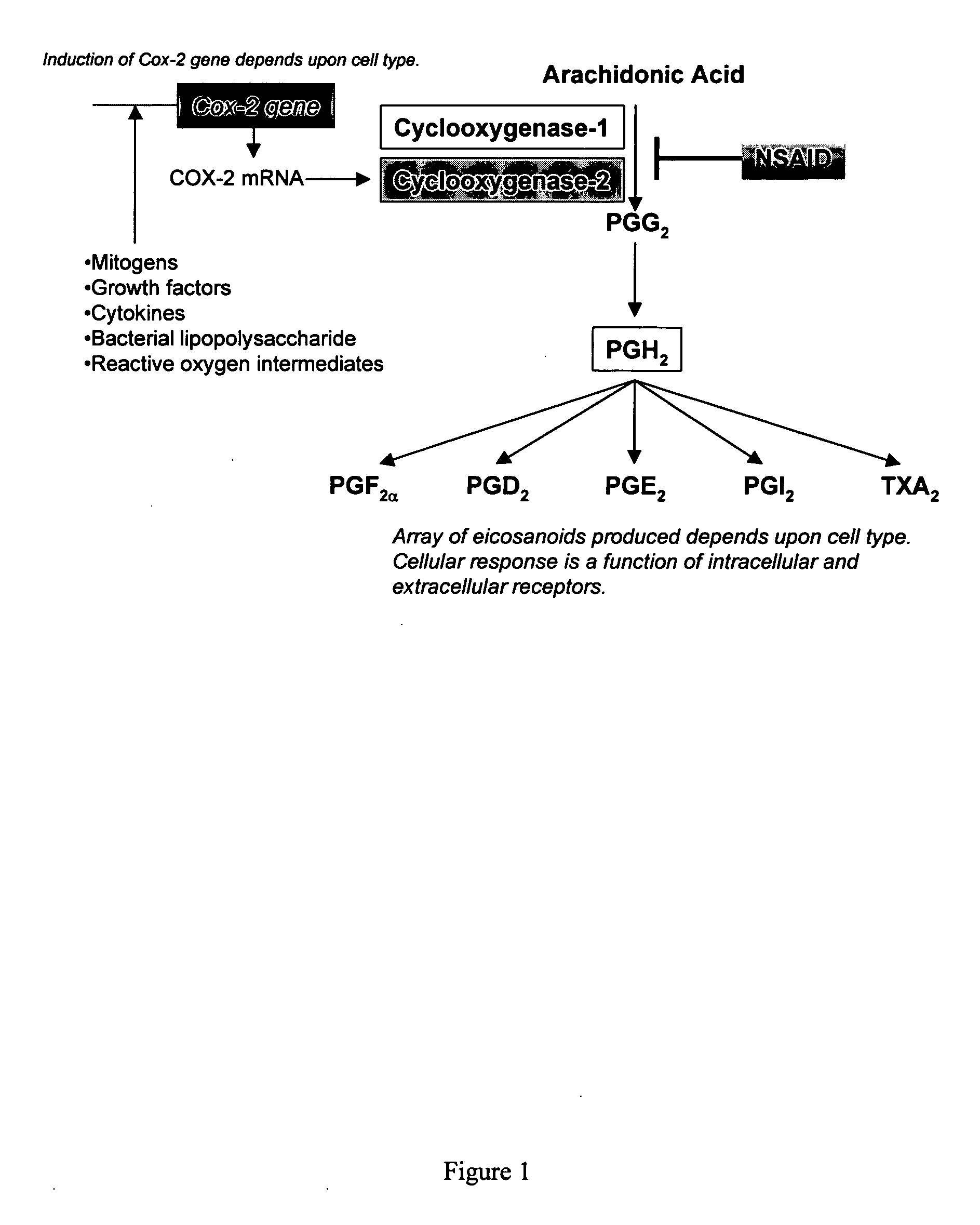 Synergistic anti-inflammatory pharmaceutical compositions and methods of use