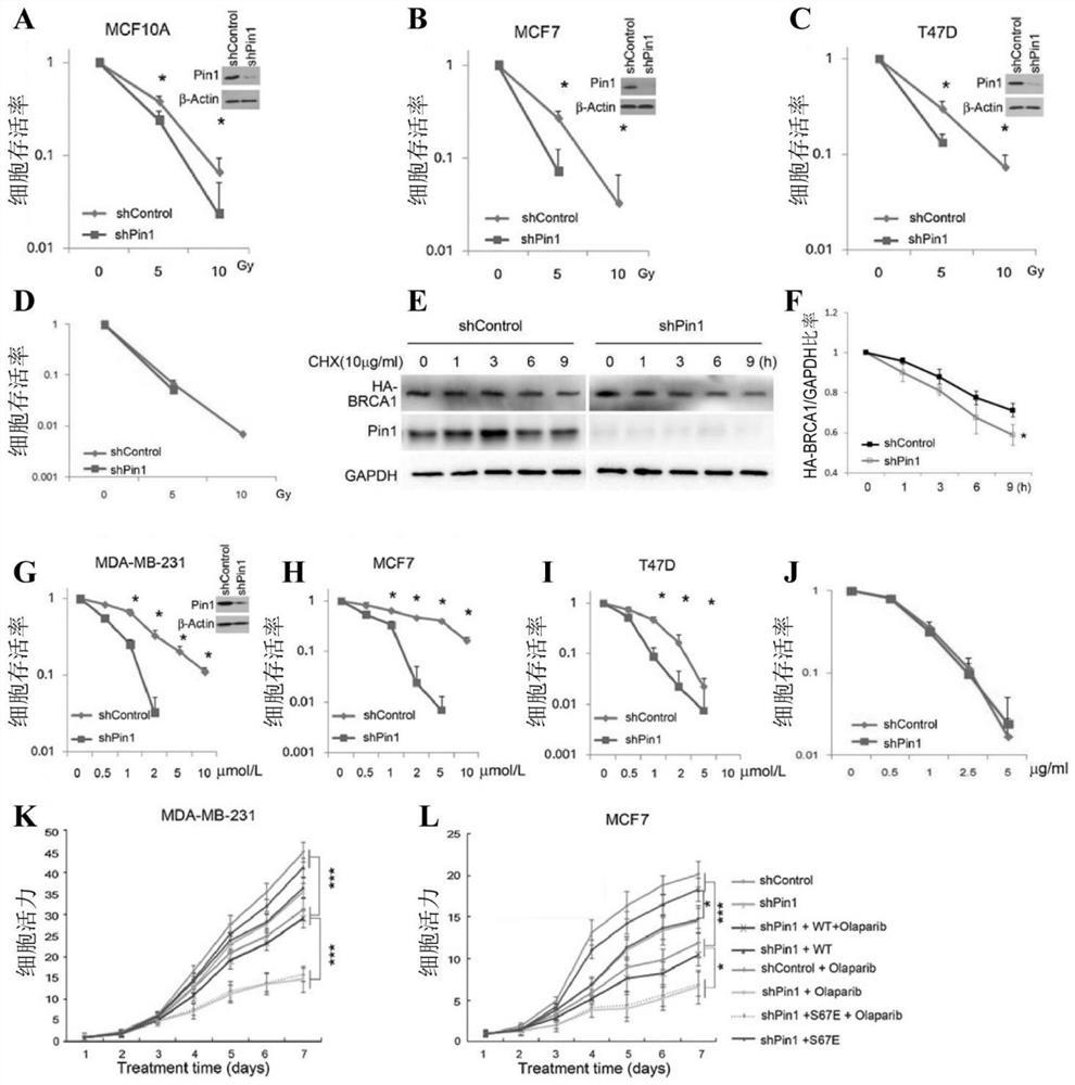 Sensitizer drug, pharmaceutical composition and application