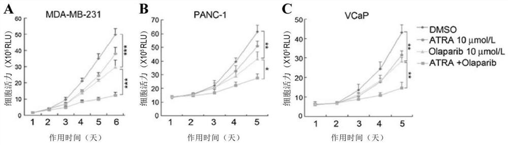 Sensitizer drug, pharmaceutical composition and application