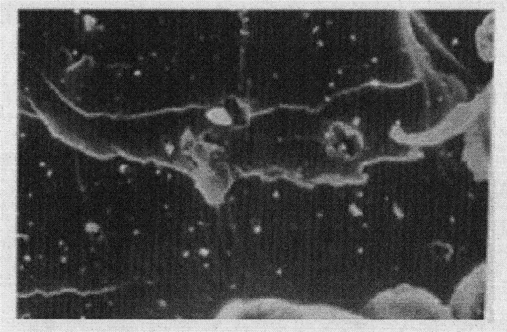 Water swelling rubber, metallic composite sealing material and preparation methods thereof