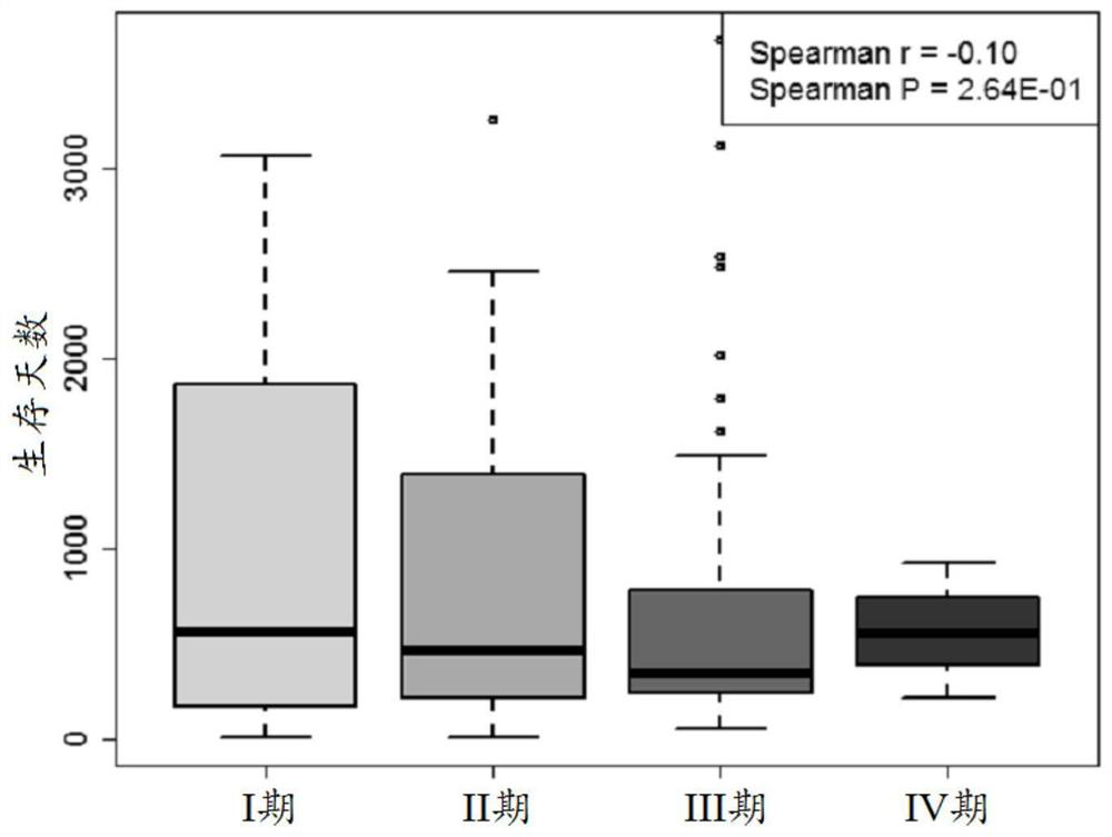 A personalized prognostic assessment method for liver cancer based on multi-gene expression profiles