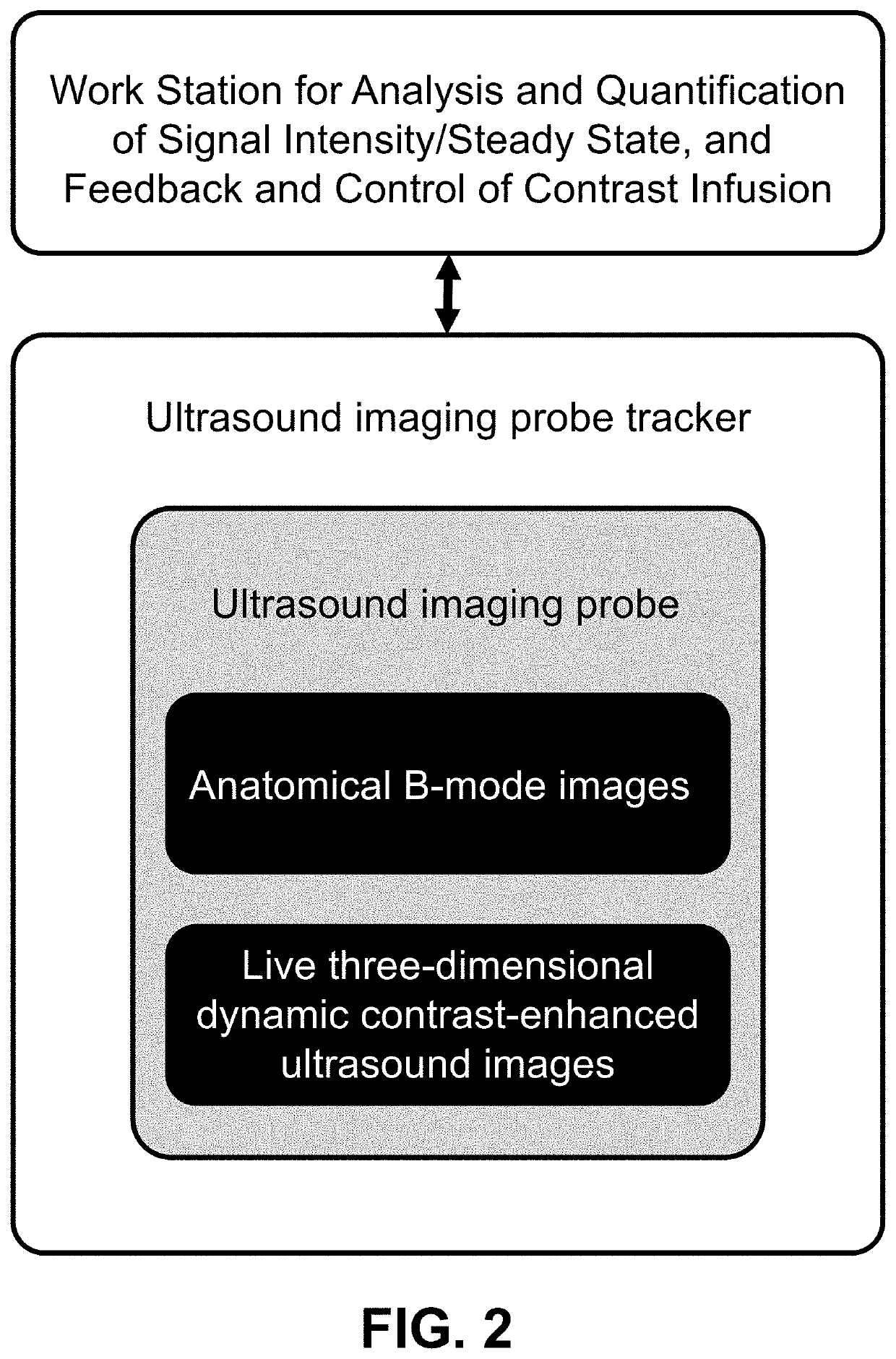 Three-Dimensional Dynamic Contrast Enhanced Ultrasound and Real-Time Intensity Curve Steady-State Verification during Ultrasound-Contrast Infusion