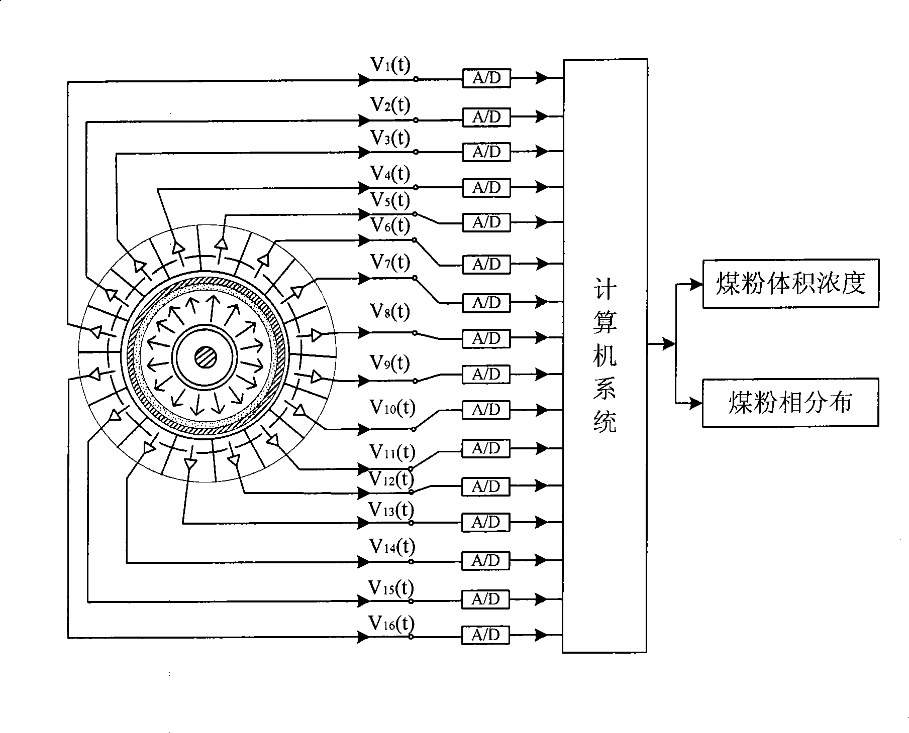 Real-time detection apparatus for coal powder concentration and phase distribution in pneumatic conveying pipe