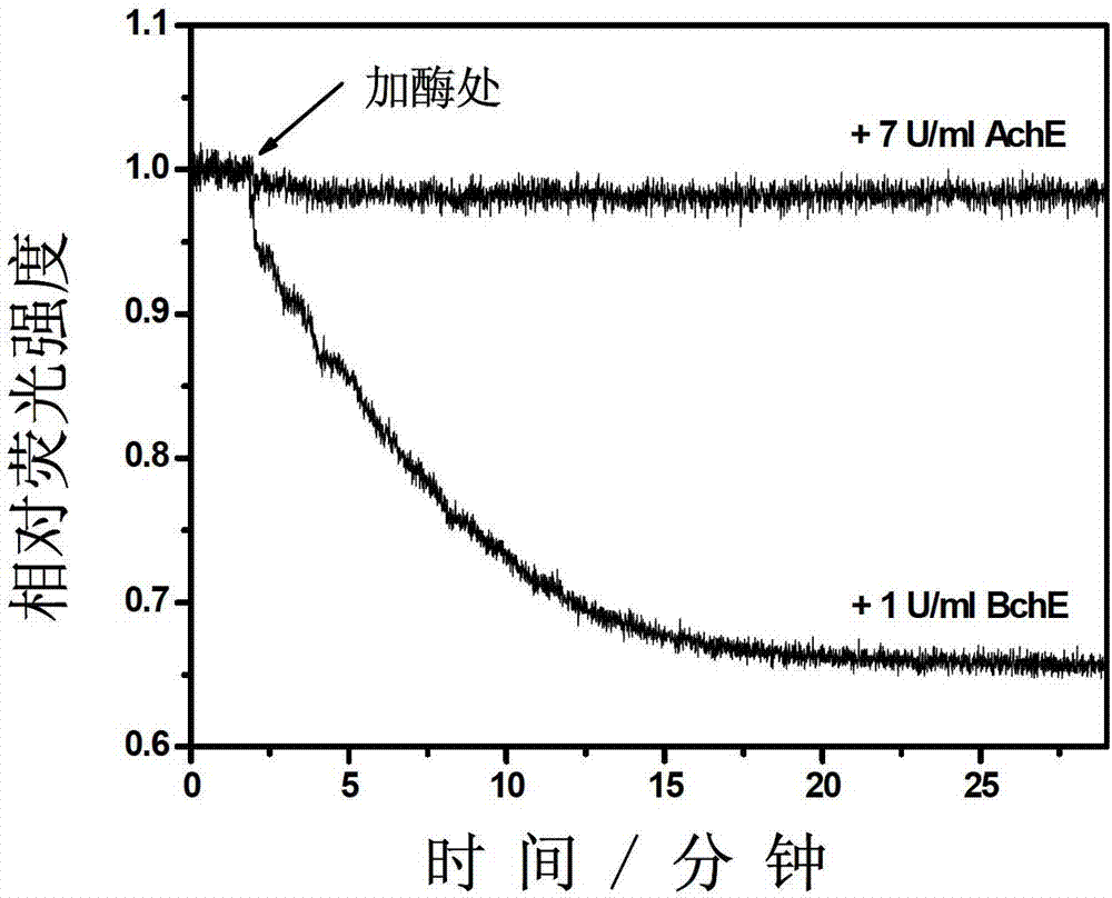 Anti-AChE interference method capable of quickly detecting BChE activity