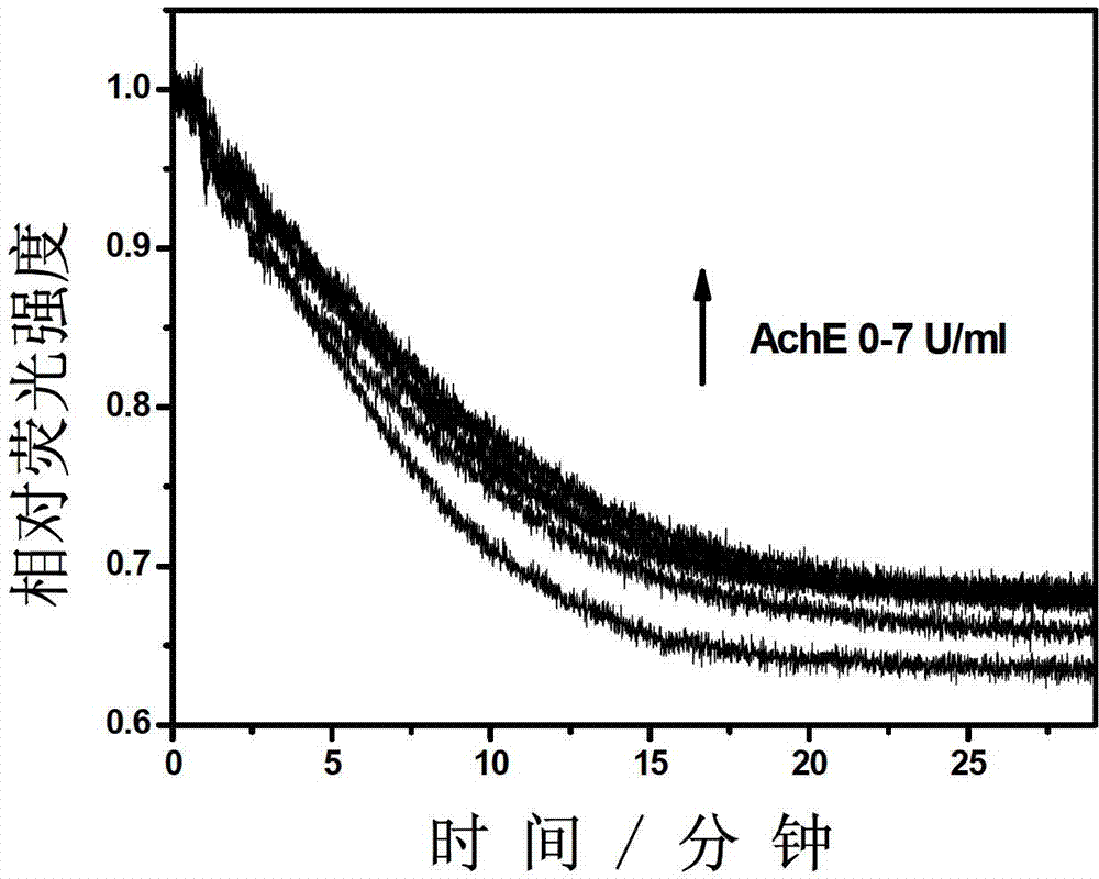 Anti-AChE interference method capable of quickly detecting BChE activity