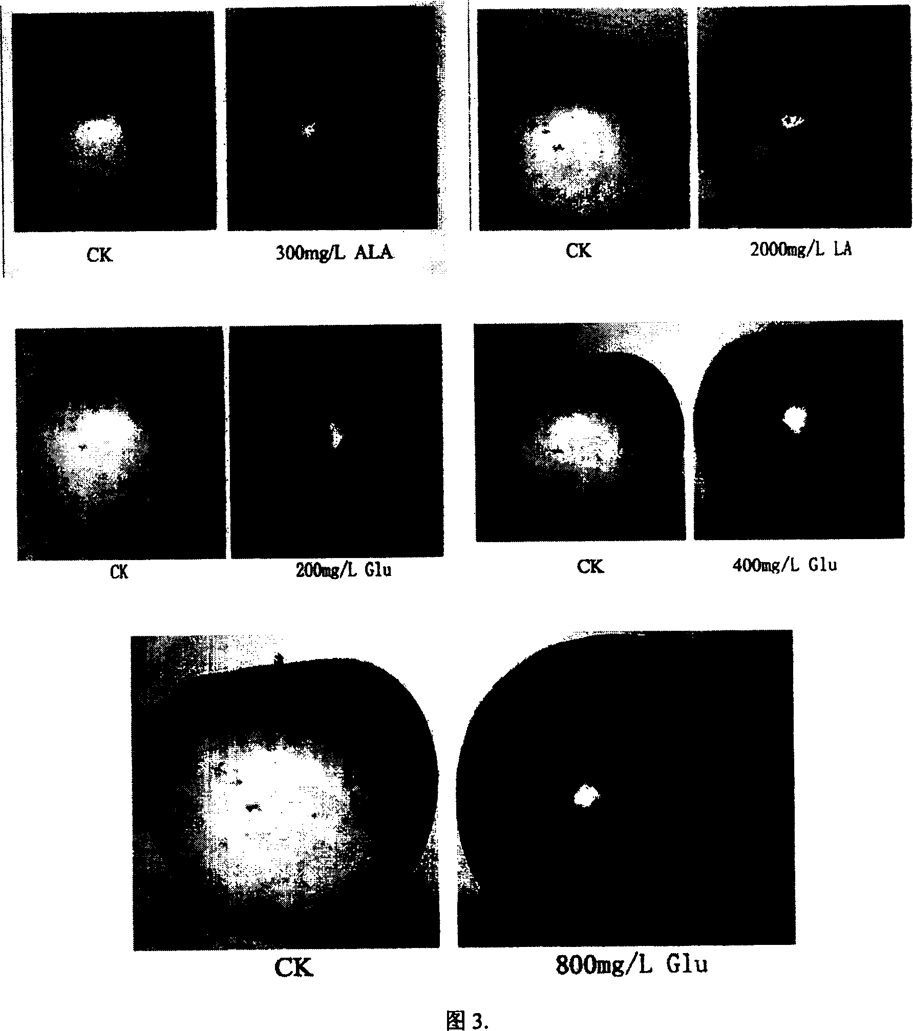 Method for improving fruit color