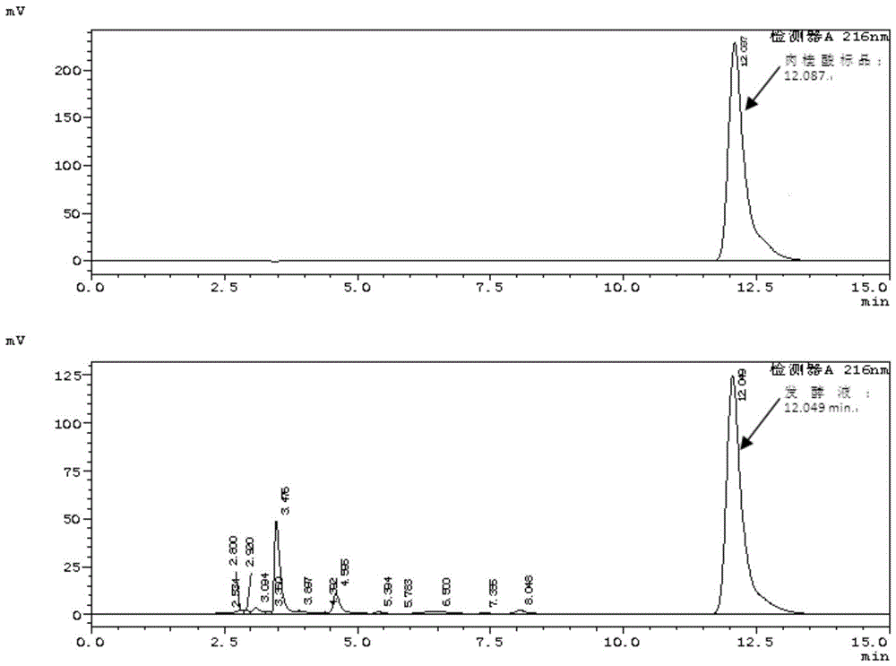 Rhodotorula glutinis Harrison OMK-1 and method for fermentation production of natural cinnamic acid by virtue of rhodotorula glutinis Harrison