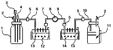 High-purity stem cell culture device