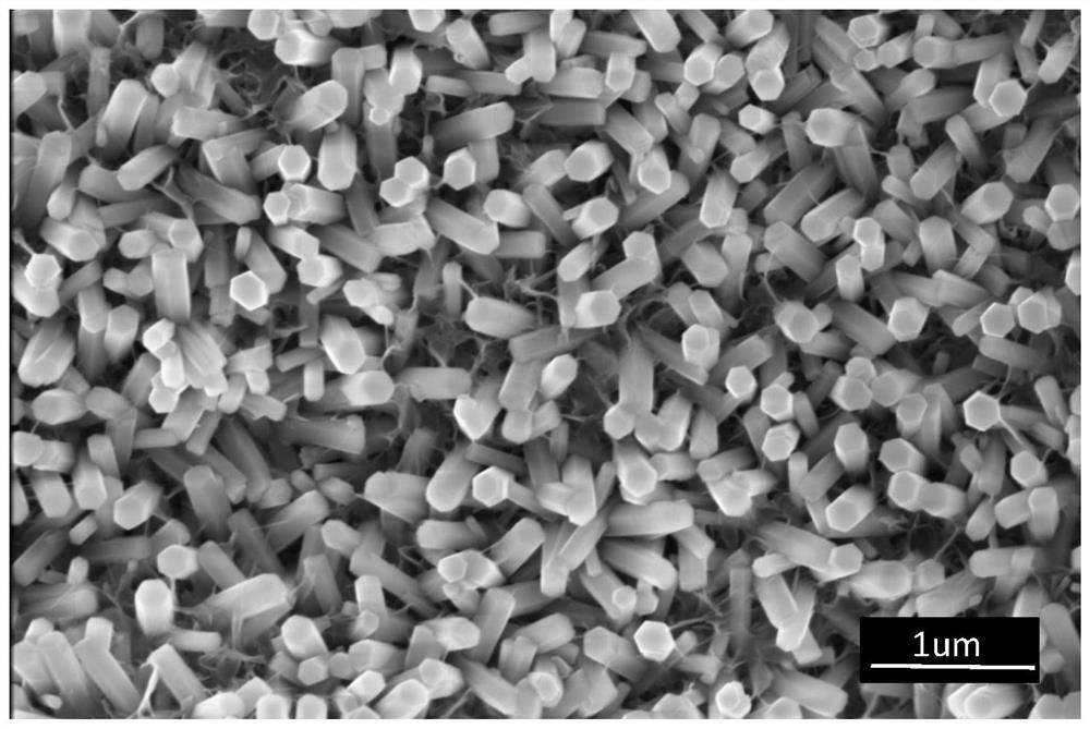 Polymeric micellar coating for sequential delivery of immunomodulatory factors on nanorod arrayed surface and preparation method and application