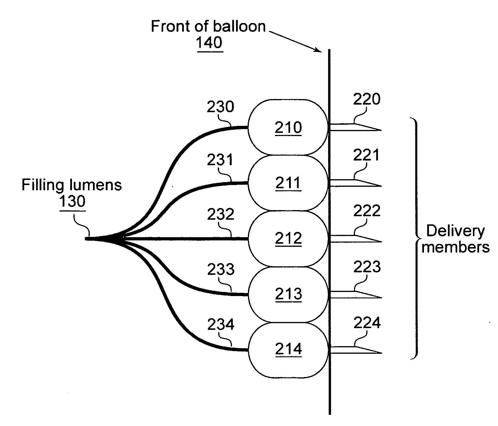 Delivery of therapeutic through multiple delivery members