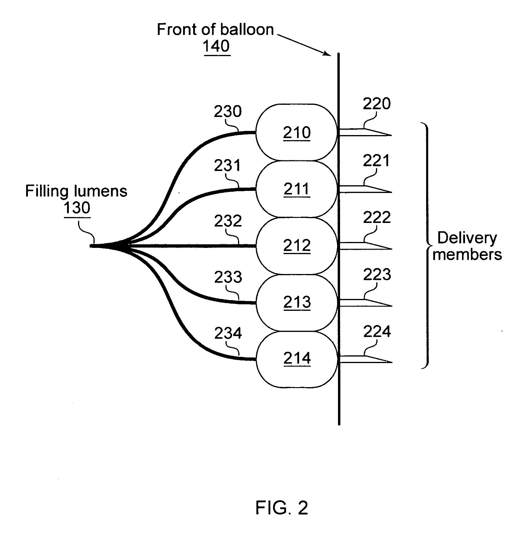 Delivery of therapeutic through multiple delivery members