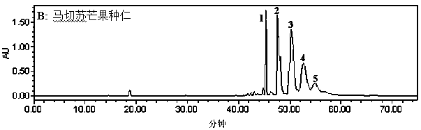 Application of mango extracts to preparation of anti-tumor drugs