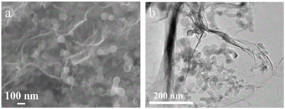 Preparation method of silicon/carbon composite material applied to high-performance lithium ion battery anodes