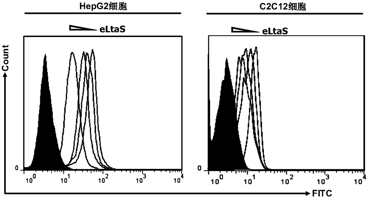 Application of eltas protein as a drug target for the prevention and treatment of insulin resistance-related diseases