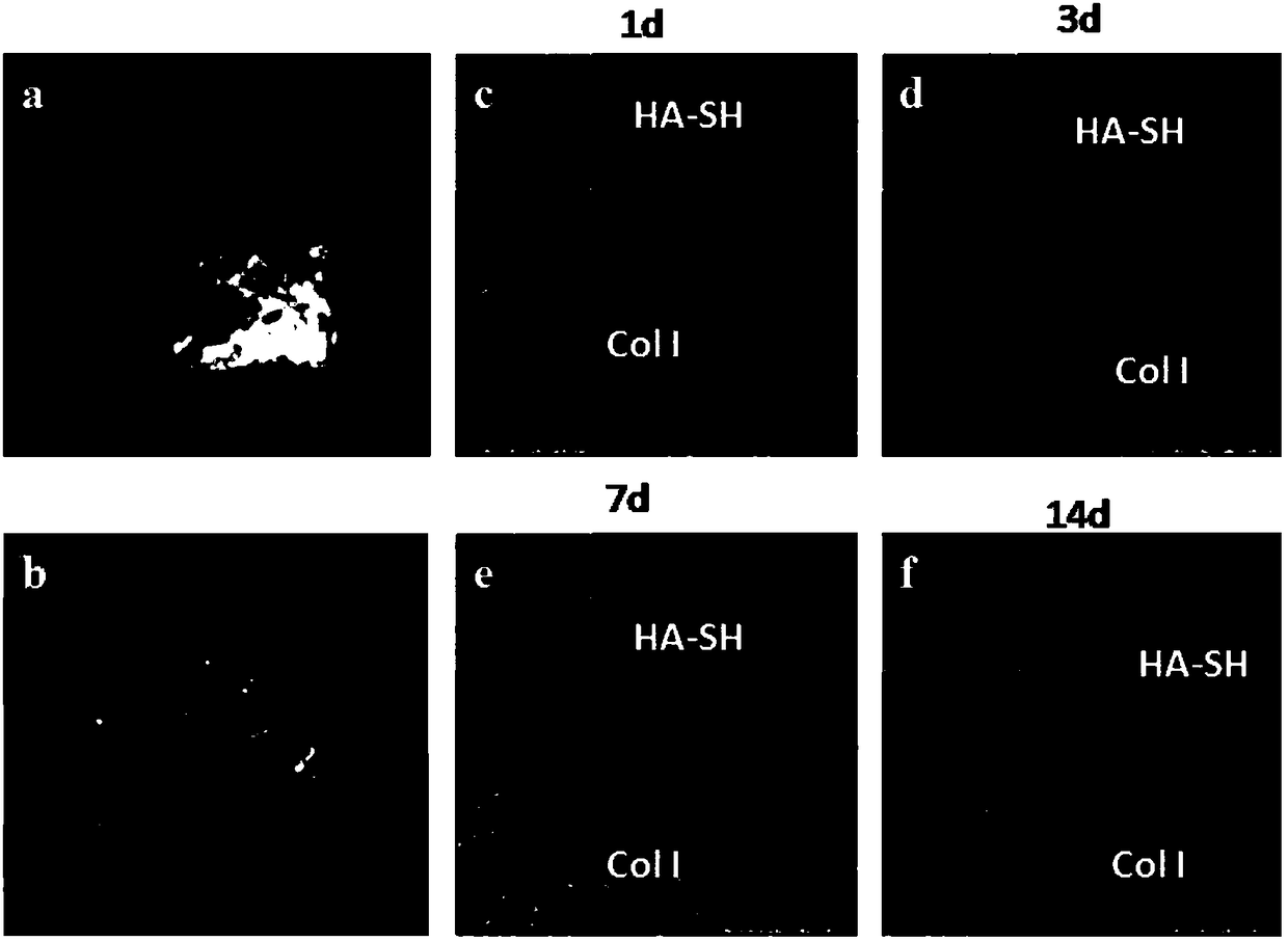 Integrated bone-cartilage repair scaffold and preparation method thereof