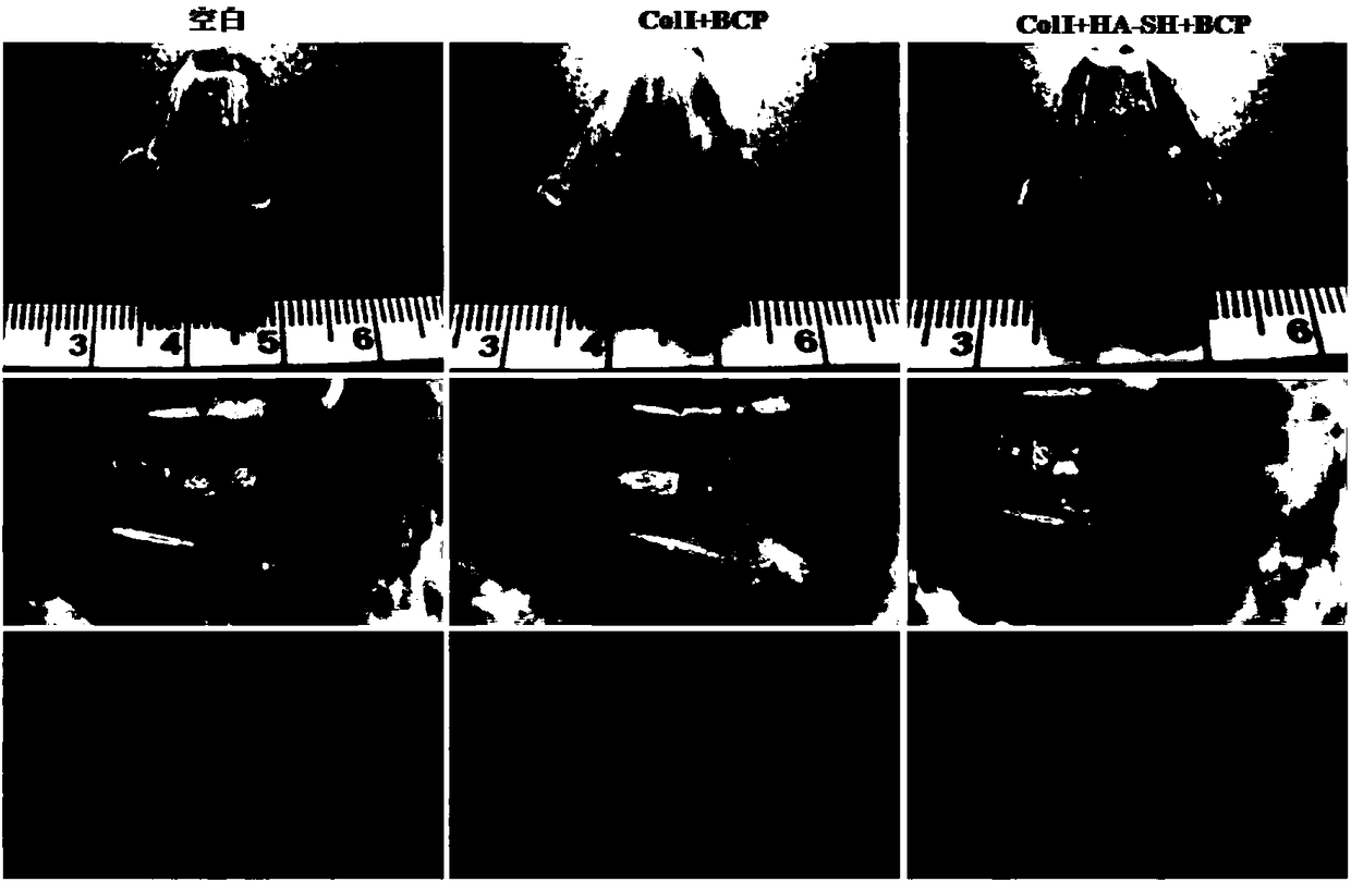 Integrated bone-cartilage repair scaffold and preparation method thereof