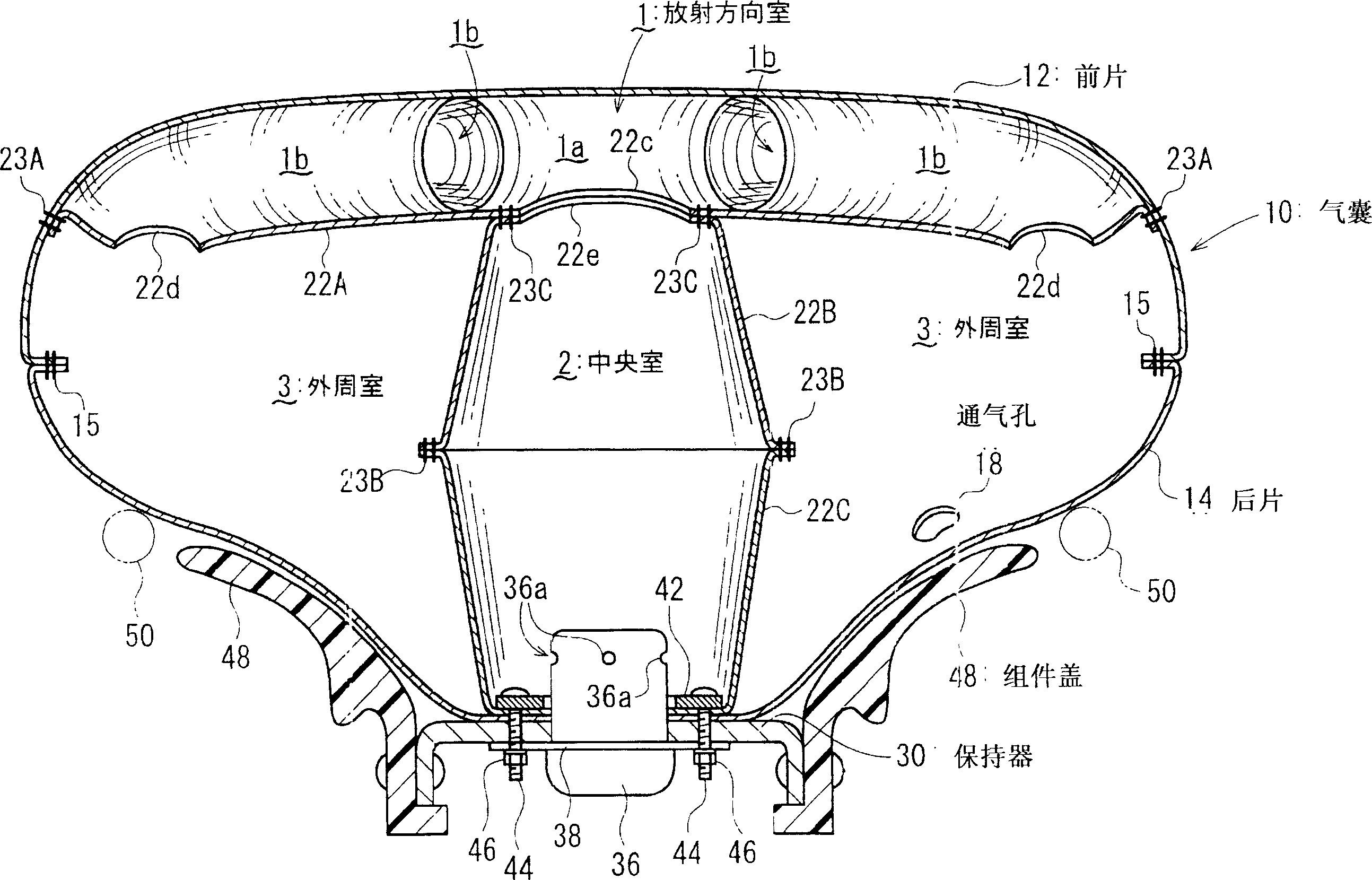 Airbag and airbag apparatus