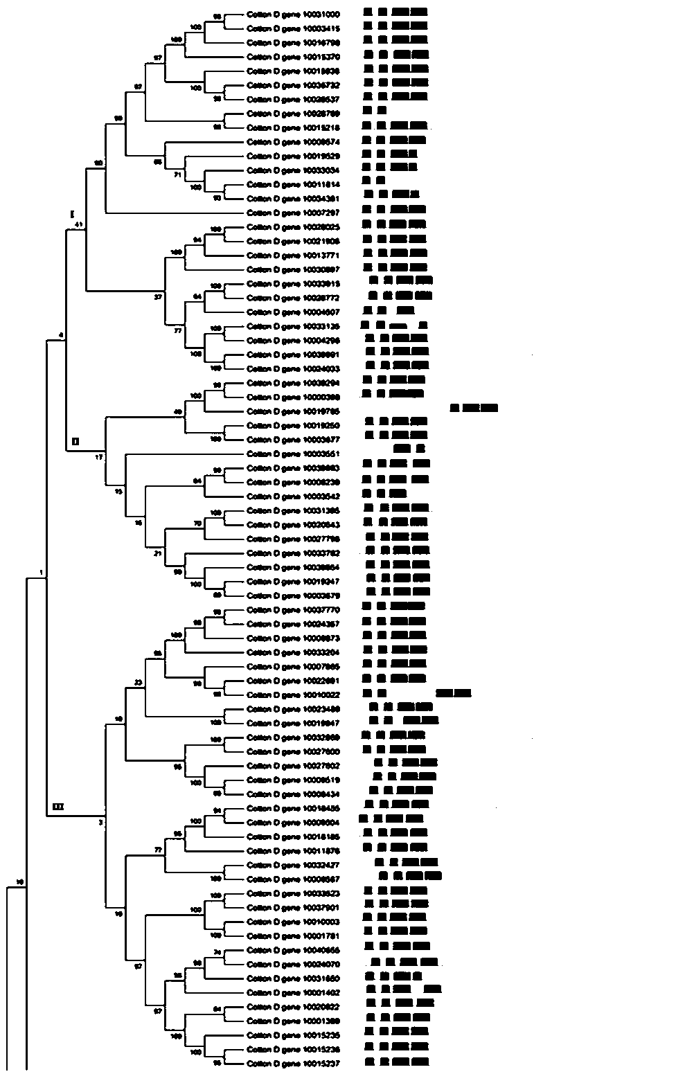 Application of sea island cotton gbnac1 in resistance to verticillium wilt