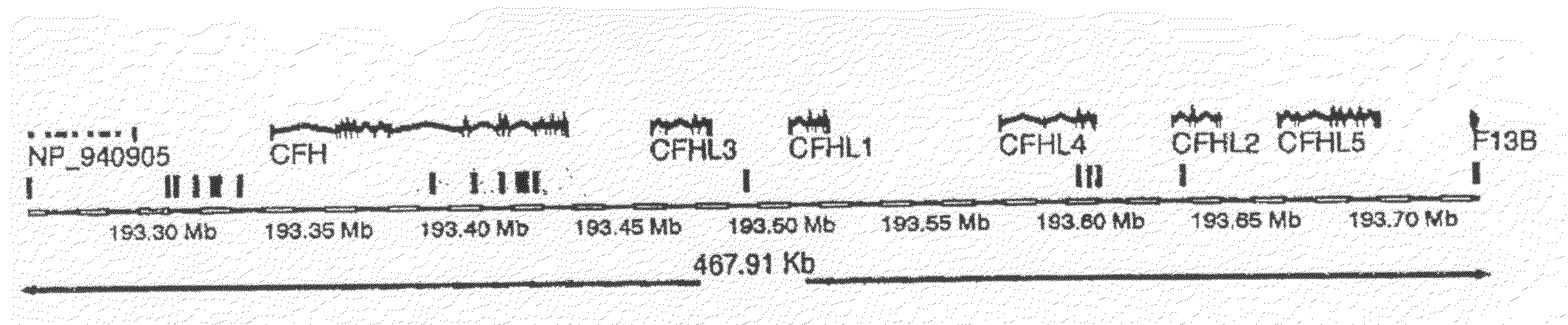 Methods and Compositions for Treating Ocular Disorders