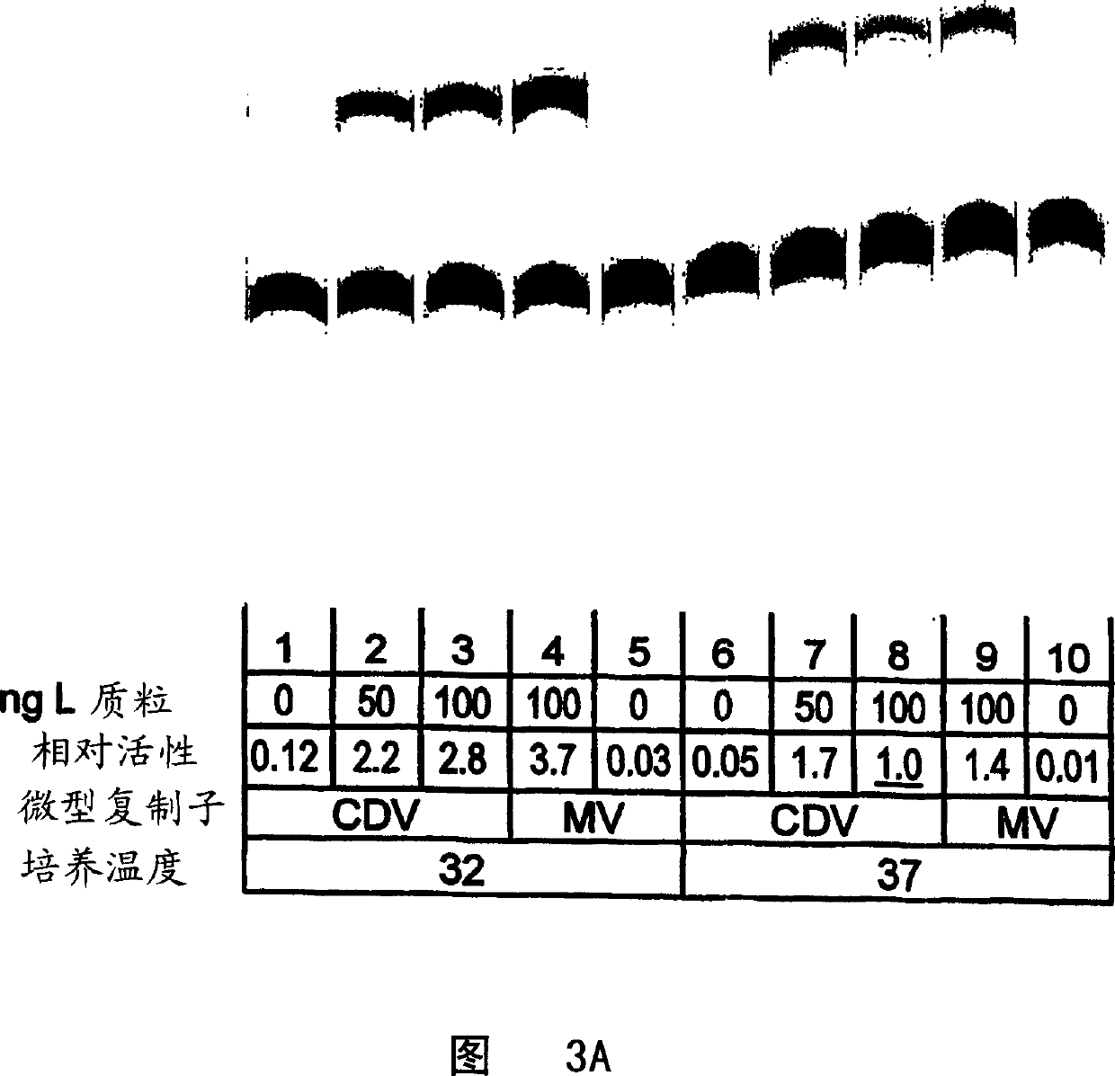 Rescue of canine distemper virus from CDNA