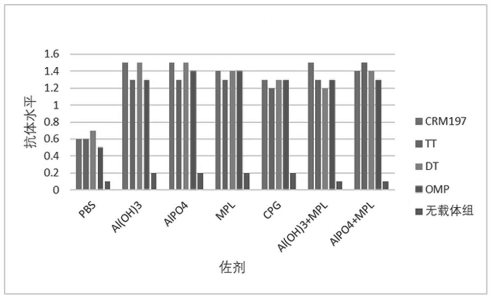 Polypeptide for preventing novel coronavirus pneumonia COVID-19, immunogenic conjugate and application thereof