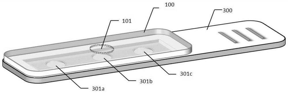 Blood fat test card and application thereof