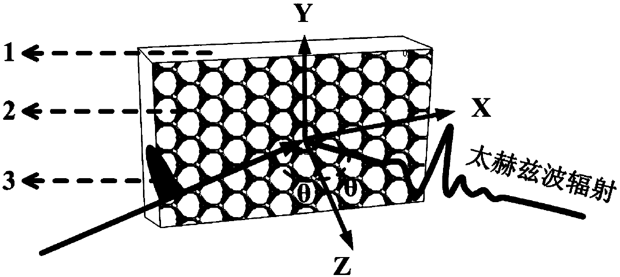 Terahertz emission source based on transition metal chalcogenide and excitation method