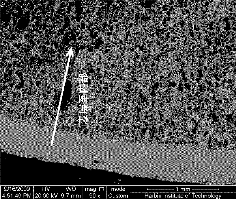 Preparation method of gradient porous alumina ceramics