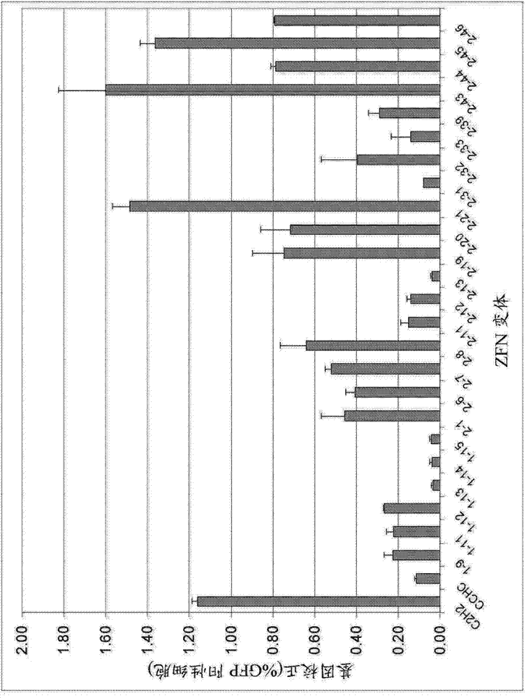 Optimized non-canonical zinc finger proteins