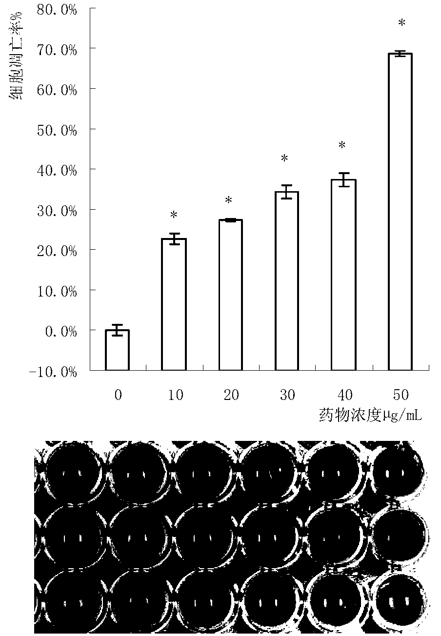 Auricularia polytricha protein extract and anti-tumor application thereof