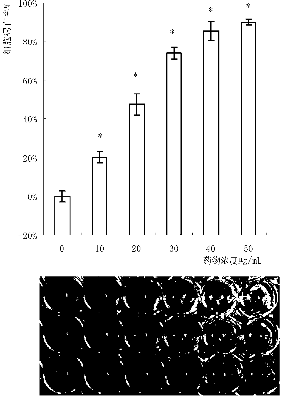 Auricularia polytricha protein extract and anti-tumor application thereof