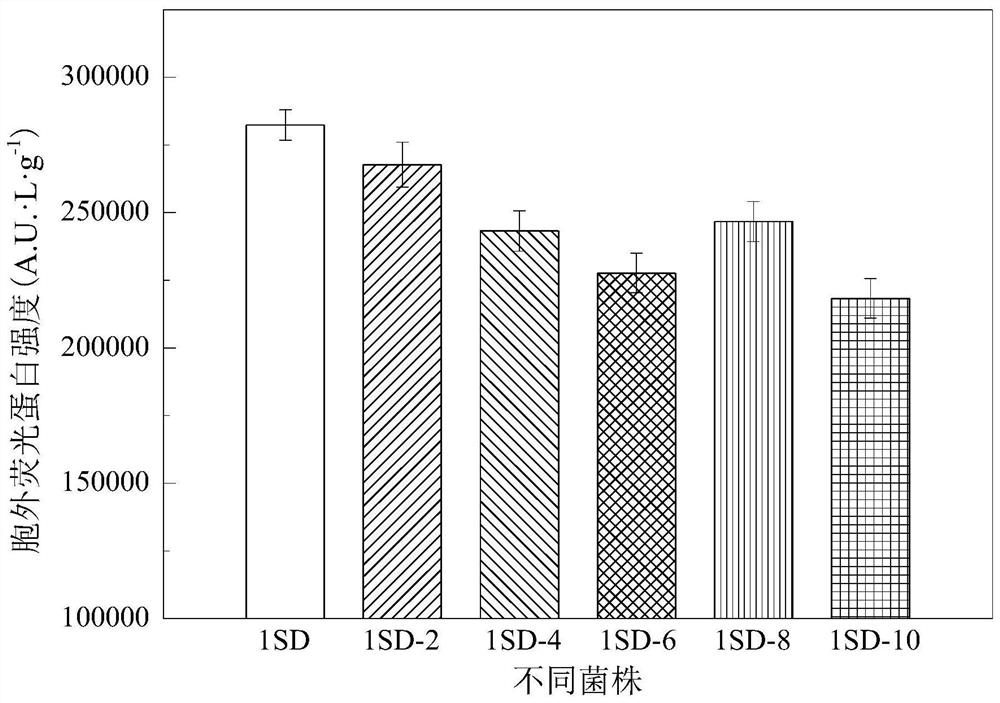 Method for increasing the extracellular secretion level of Escherichia coli recombinant protein