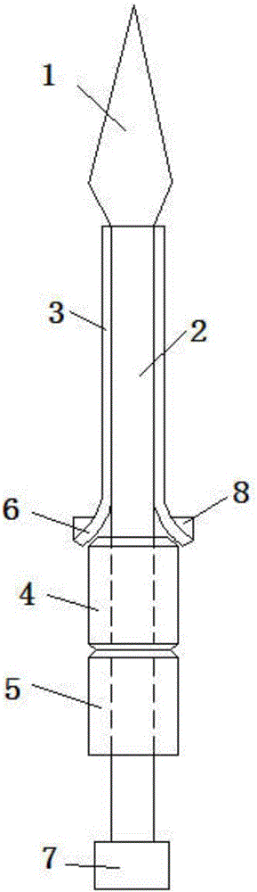 Apple corer