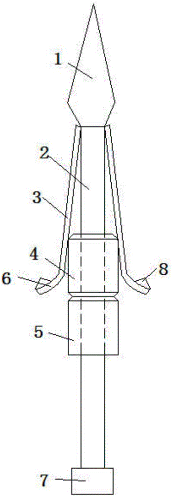 Apple corer