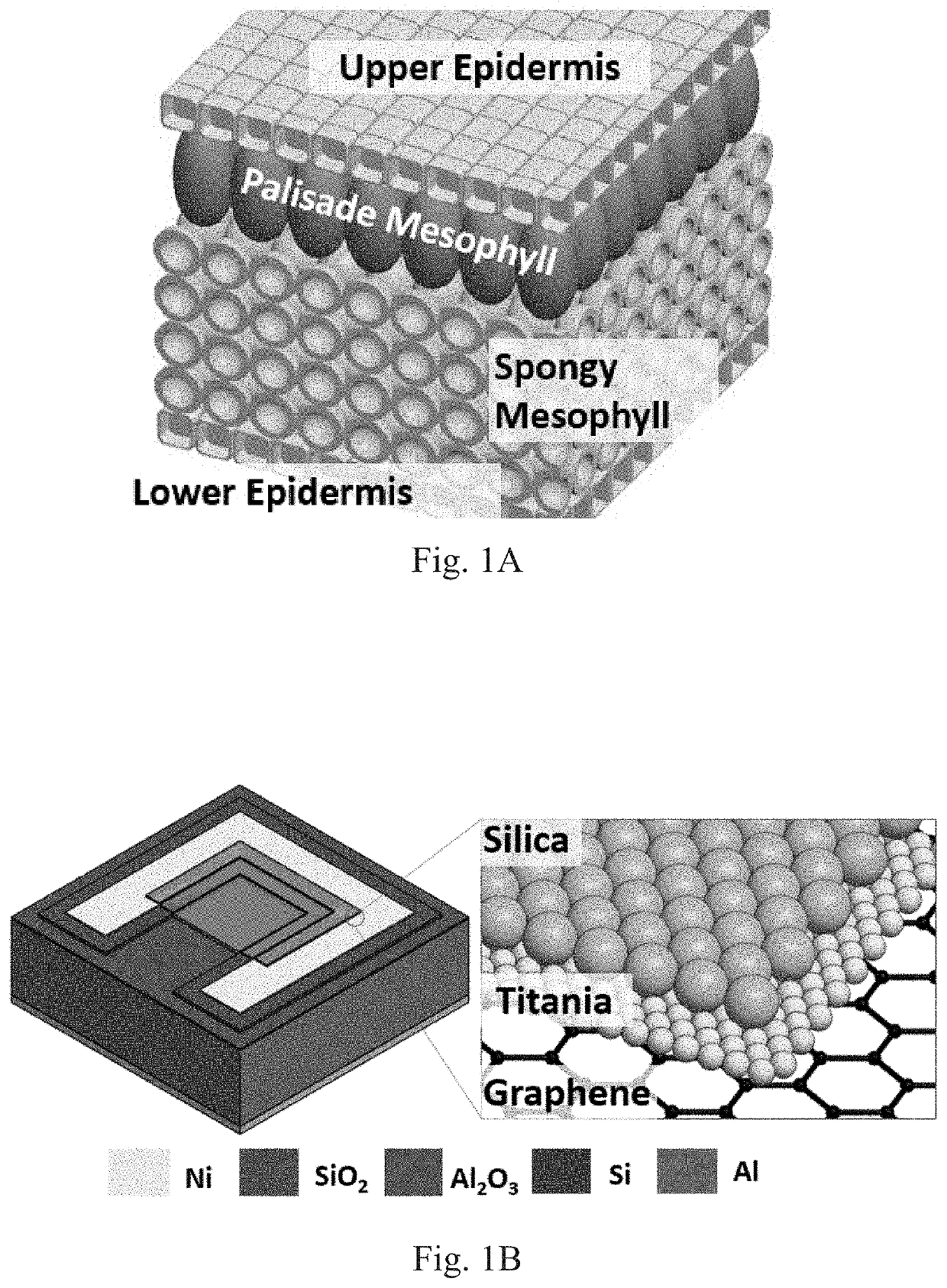 Omnidirectional polarization independent all-dielectric light trapping scheme