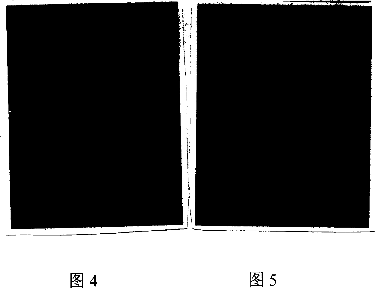 Infectious bursal disease virus (IBDV) polyprotein gene (VP2/VP4/VP3), eukaryon expressing plasmid, DNA vaccine