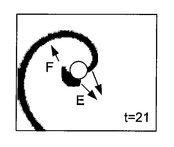 Method for stabilization of cardiac tissue contractions using limit cycles