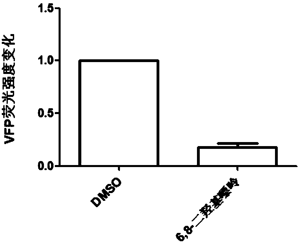 Application of 6,8-xanthine compound in preparing anti-HBV drugs