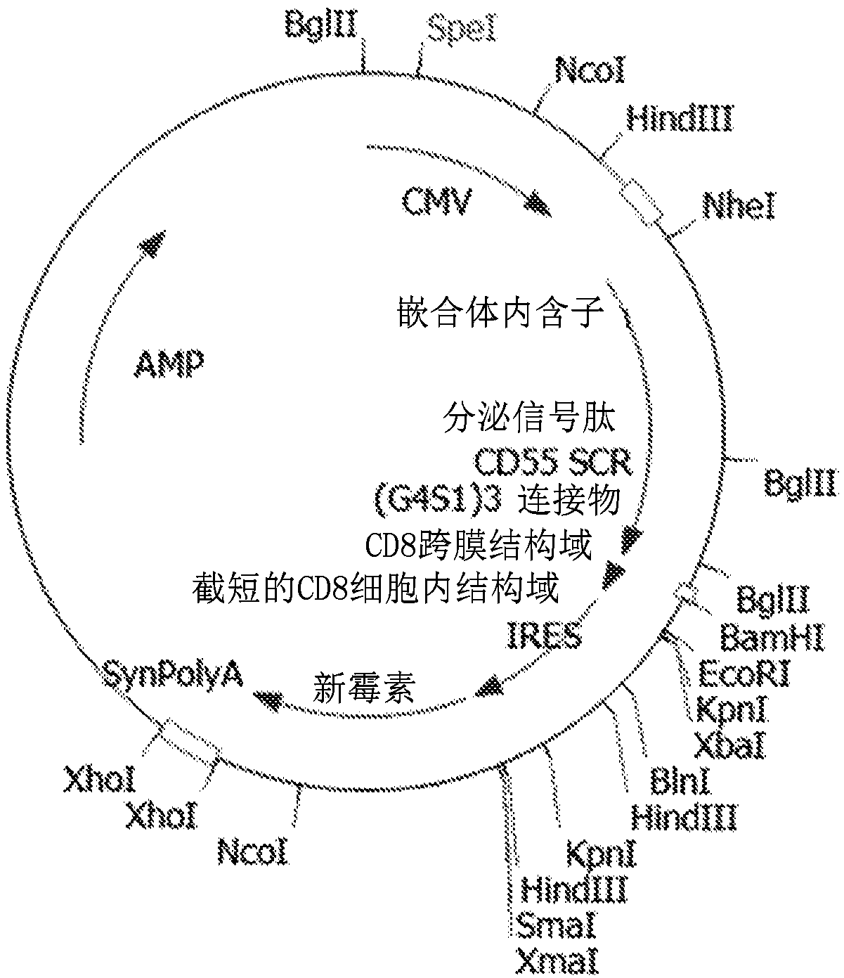 Enveloped virus resistant to complement inactivation for the treatment of cancer