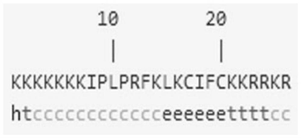 Dendritic human-derived cell-penetrating peptide hpp7k, its production and its method for mediating plasmid dna transfection