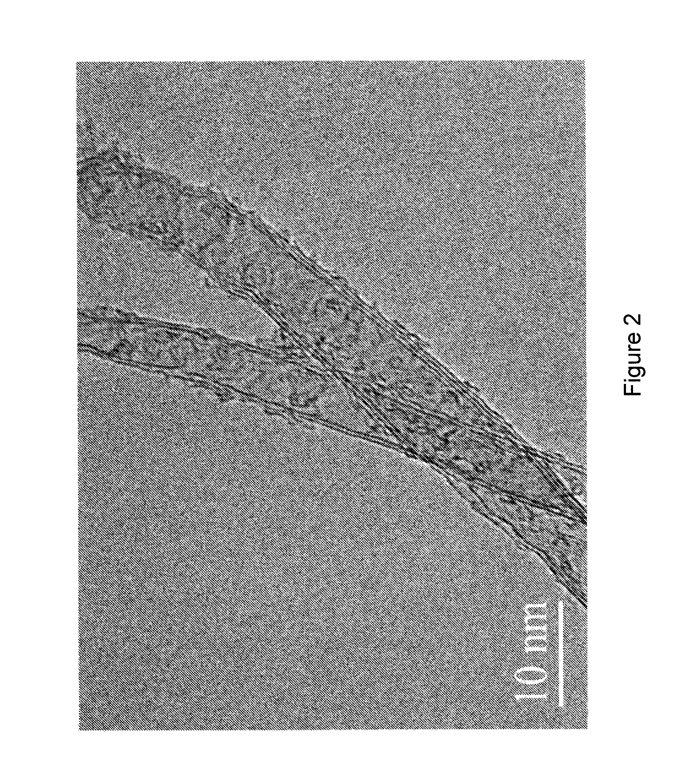 CNT-based signature control material